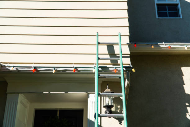 Best Fascia and Soffit Installation  in Bridgeport, MI