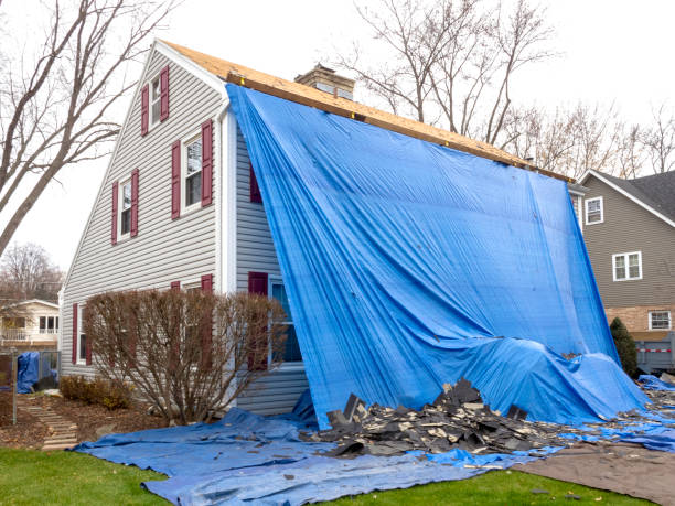 Best Fiber Cement Siding Installation  in Bridgeport, MI