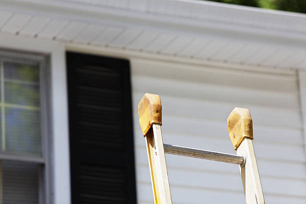 Best Storm Damage Siding Repair  in Bridgeport, MI